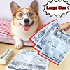 Pet Dog Newspaper Toy, Chew Durable Squeaky Toy Interactive Dog Teeth Molar Toys 4