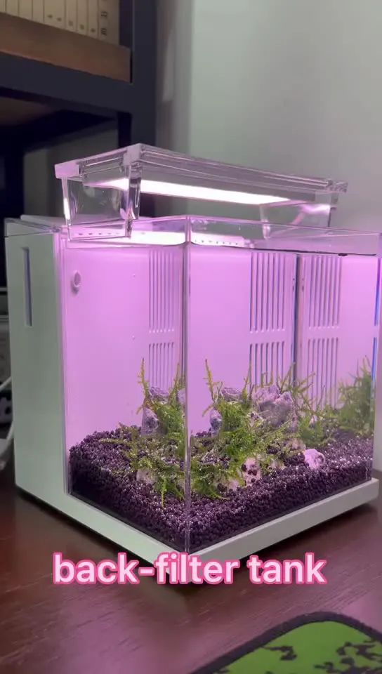 small-plastic-Fish-tank-LED-light-aquatic-light-acrylic-with-back-side-filtration-usb-interface-office.jpg Kis Műanyag Haltartály Led Lefi Vizsgálati Vizsgálati Akril, Hátoldalú Szűrés Usb Interfész Iroda Otthoni Dekorációja - Image 6