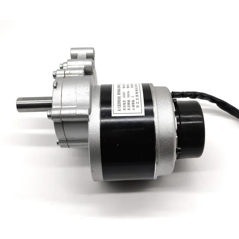 Low Speed Brush Motor Electromagnetic Brake Longer Shaft Wheel Chair DC Gear Brushed Motor 250w 24v 75rpm / 120rpm