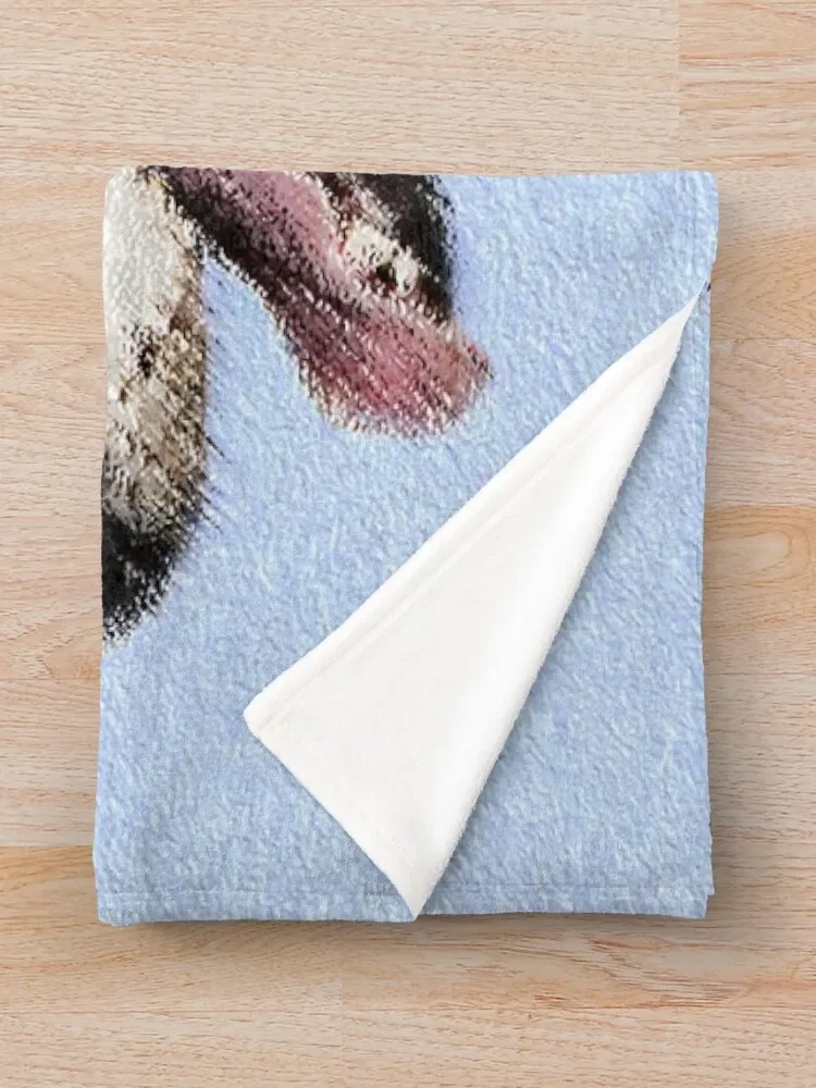 Bedlington �׸��� ������ ���, ���� �ö��� ǫ���� ���� ���