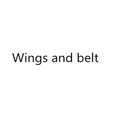 Wings and Belt