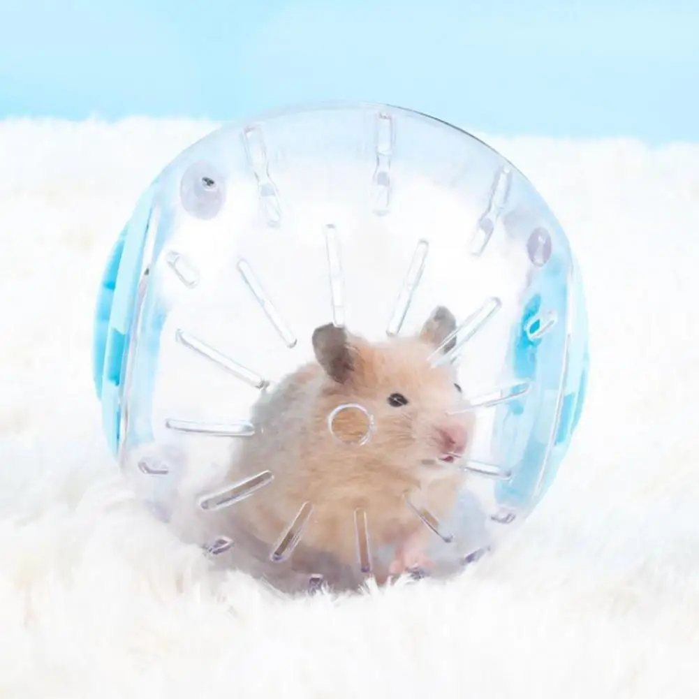 12cm/16cm/18cm Outdoor Sport Ball Grounder Rat Small Pet Mice Jogging Ball Toy Hamster Exercise Play Toy Small Pet Supplies