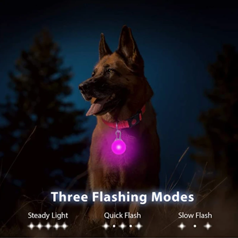 USB Rechargeable LED Dog Collar – Night Safety 3