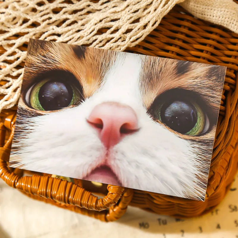 Adorable Pet Go Out Series Postcard Cute Cat Photo Card Greeting Message Cards Student Christmas New Year Gift 30 Sheets/Set