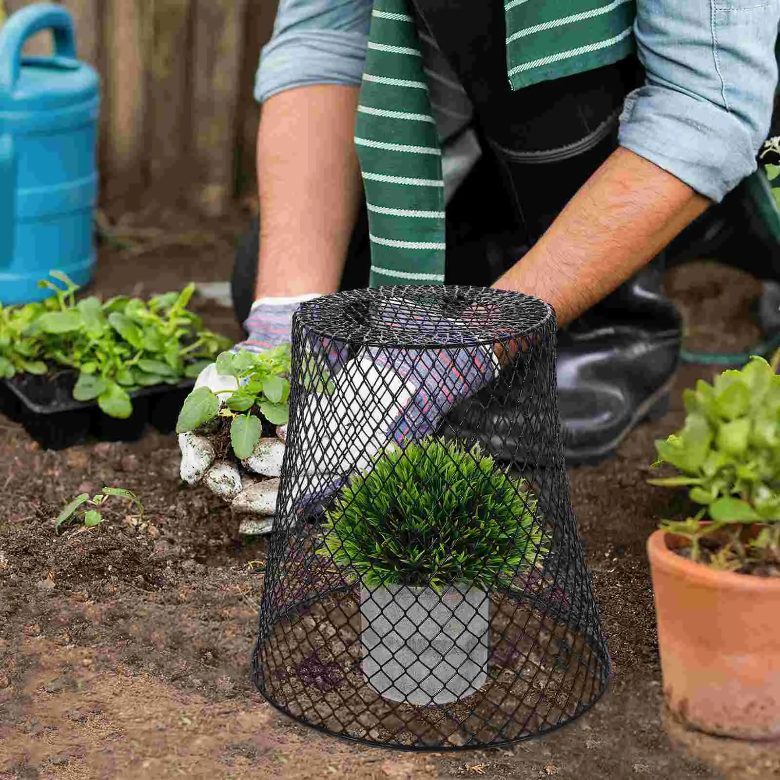 

4 Pcs Flower Pot Garden Flowerpot Cover Iron Plant Cage Vegetable Seedlings Mesh Designed Protector Protective Sturdy