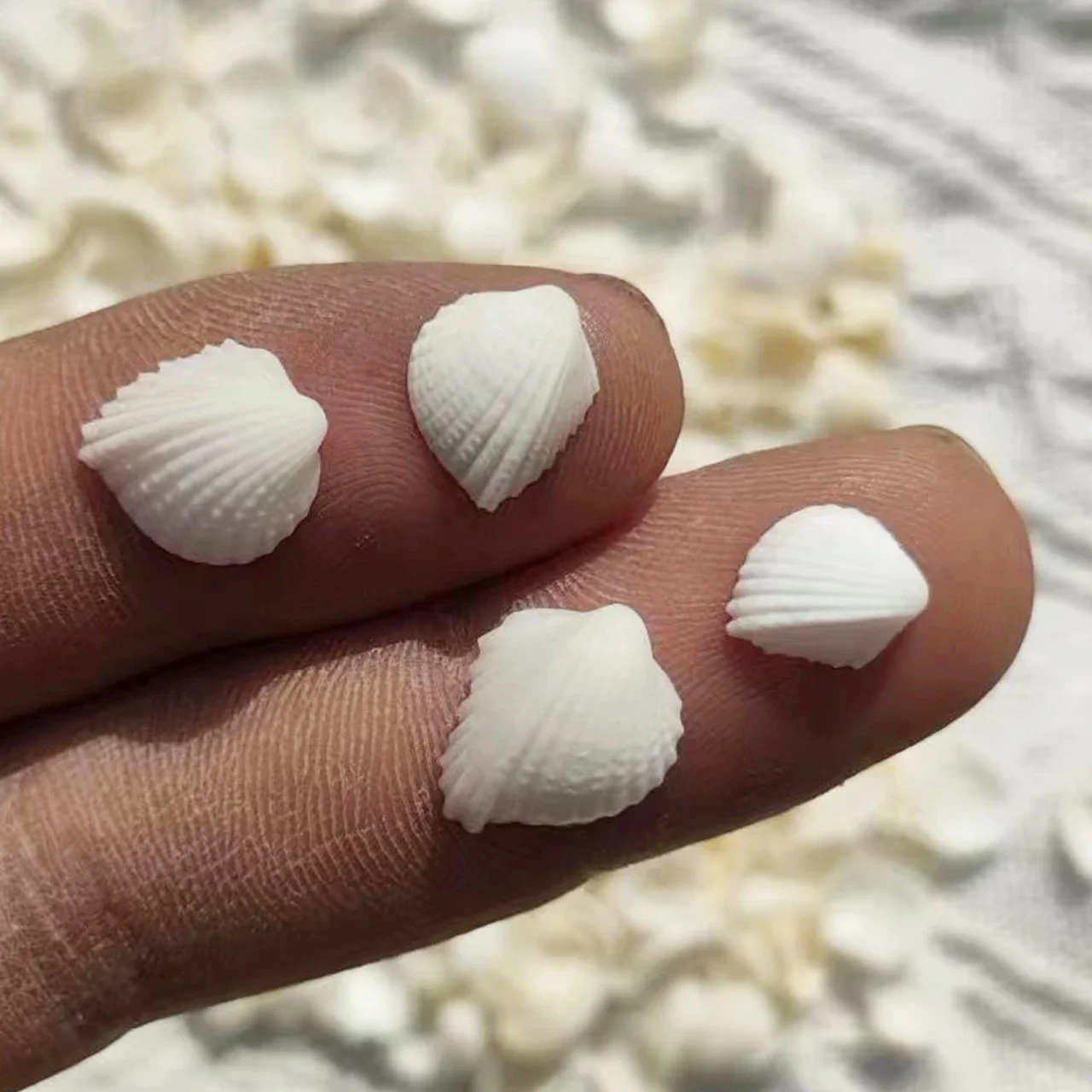 Punch Shell Conch Snow Clam Hair Clam Coconut Shell White Small natural shell ornaments