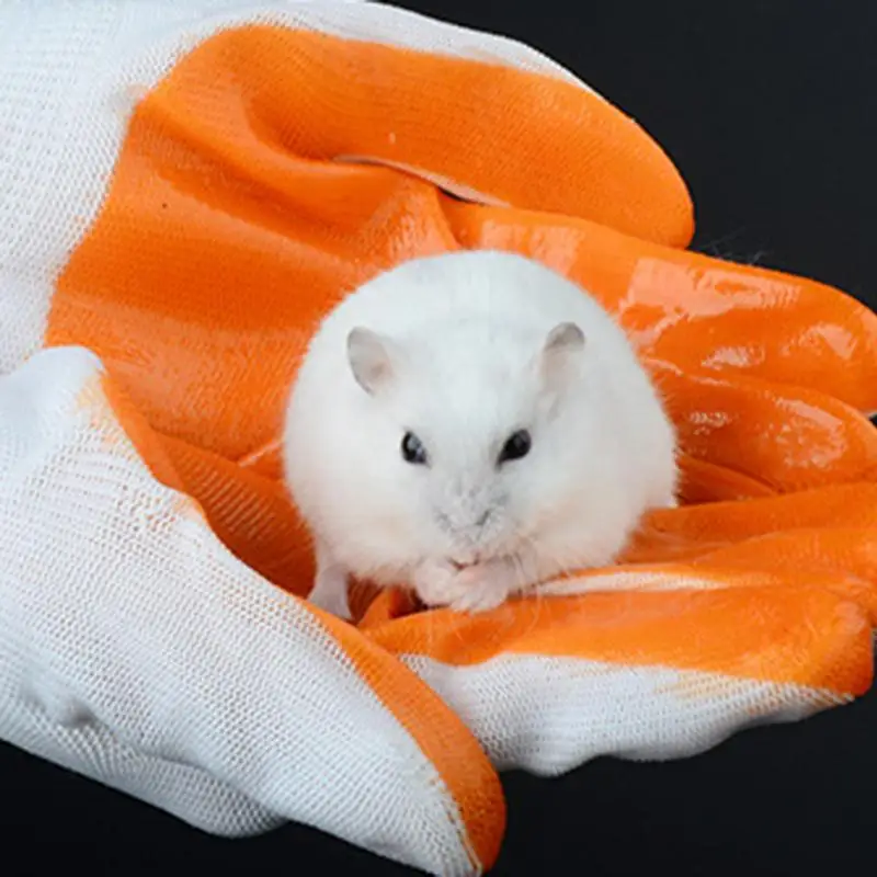 

Перчатки для укусов маленьких домашних животных, маленькие защитные перчатки от морских свинок, кроликов, хомяка