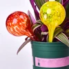 2025 New 1PC Ball Glass Automatic Watering Device Household Green Plant Potted Plant Drip Irrigation Device 2