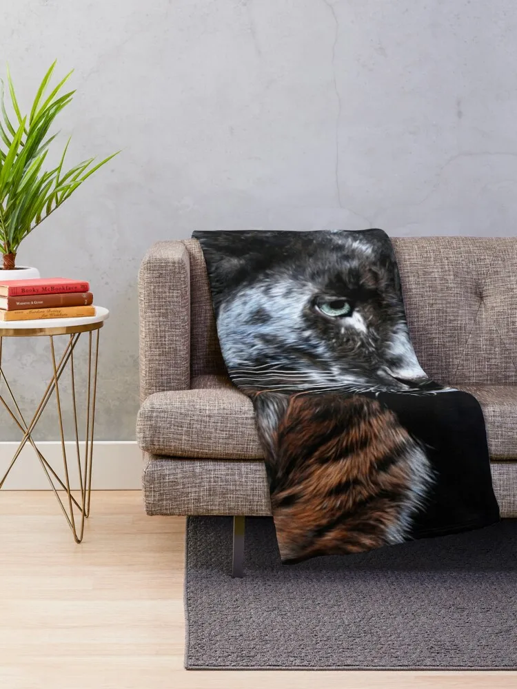 ���� �����ĵ� ��� ��Ʈ ���  ��� ��� ����