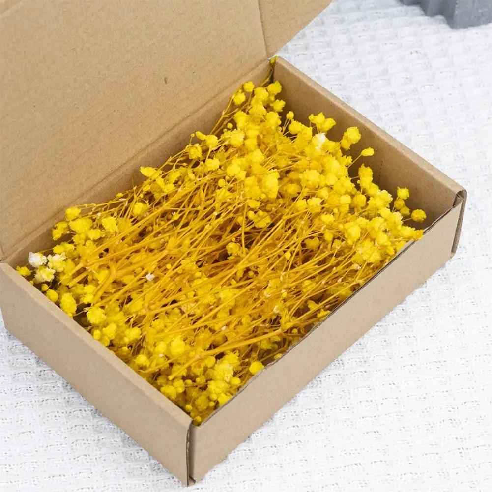 9 Farben Schleierkraut Trockenblumen Bouquet Vase Umschlag DIY Blumenarrangement Hochzeit Party Künstlerische Valentinstag Geschenke 2026 – Detail 21
