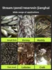 Inverted Whisker Fishing Bottles Fish and Shrimp Parent-child Outdoor Fish Catching Buckets Fish Nets and Shrimp Cages 3