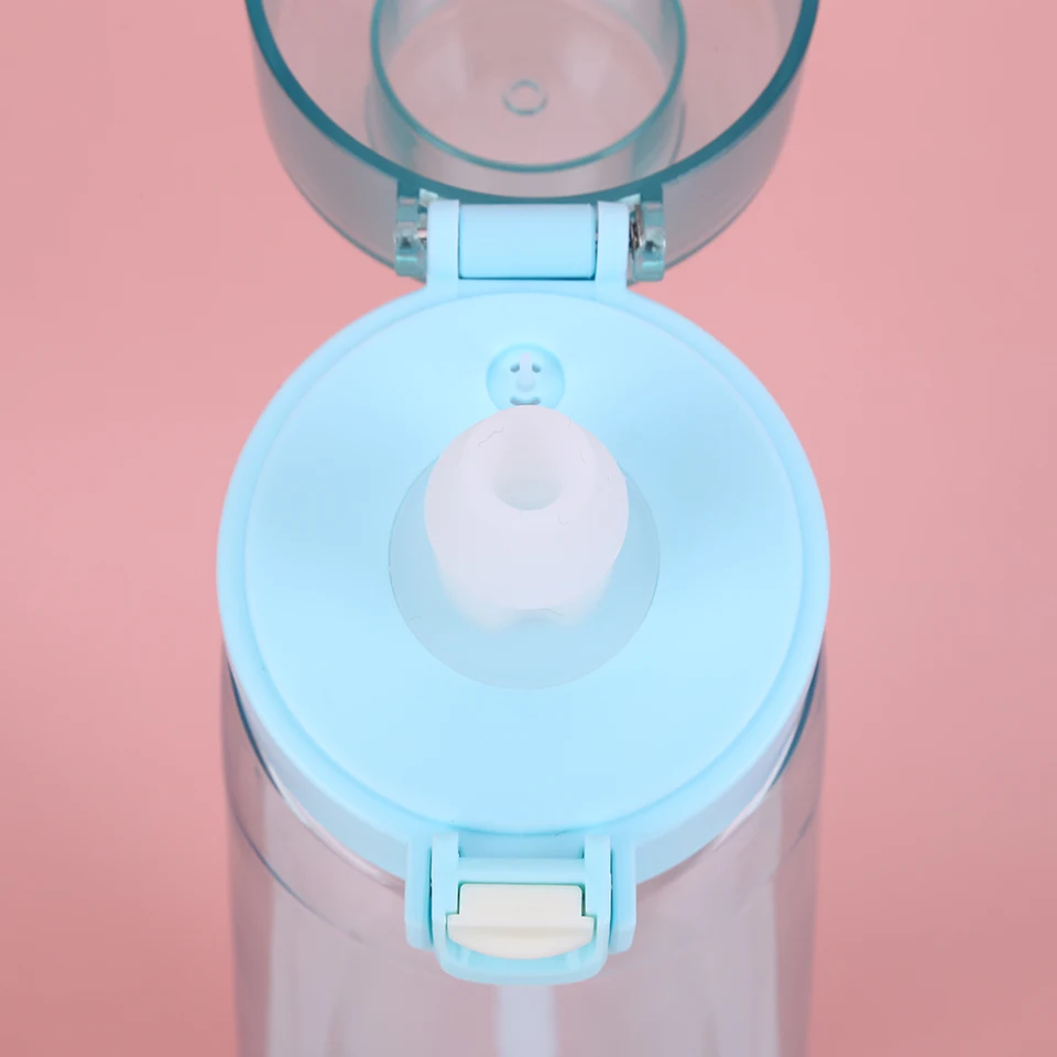 Flavored Water Bottle with Portable Straw and Handle