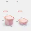 Plastic Kitchen Gadget Thick Double Layer Sealed Ginger Container Fruit Storage Containers Vegetable Tray Fridge Storage Box 6