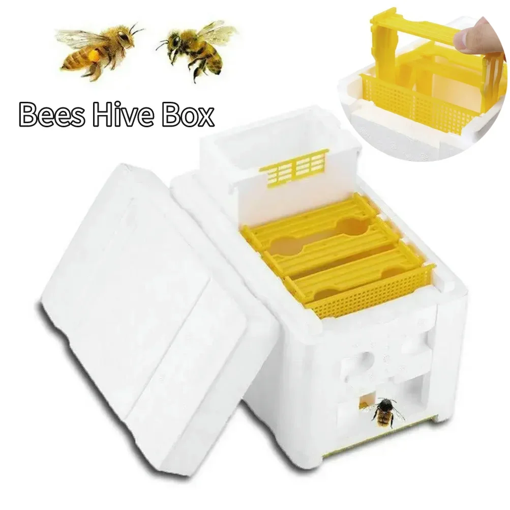 Beehive Beekeeping Box Tools Supplies Frame Holder Equipment Kit Pollination King Bees Hive Box