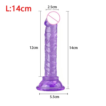 Realistic Dildo for Woman Soft Jelly Suction Cup Penis Anal Butt Plug Crystal Dildo Sex Toy No Vibrator female Erotic Sex Toys Exporters Realistic Dildo for Woman Soft Jelly Suction Cup Penis Anal Butt Plug Crystal Dildo Sex Toy