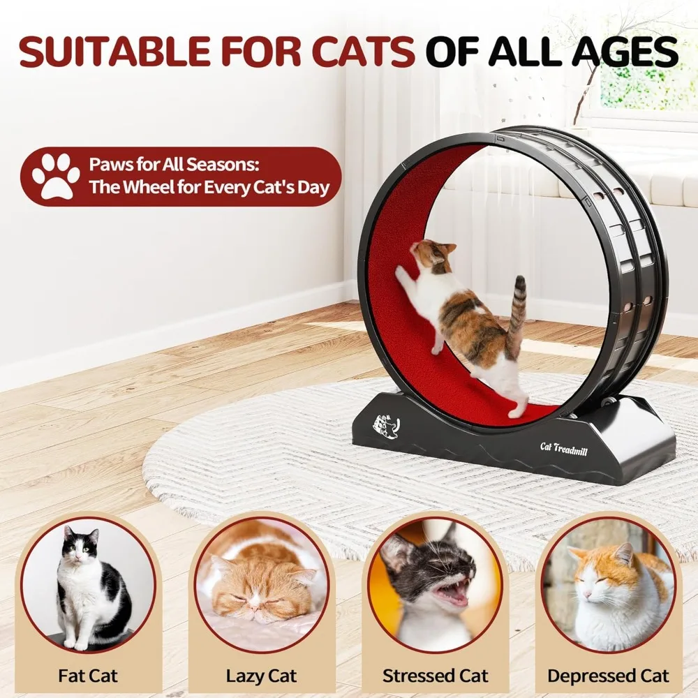 Carpeted Cat Exercise Wheel 3