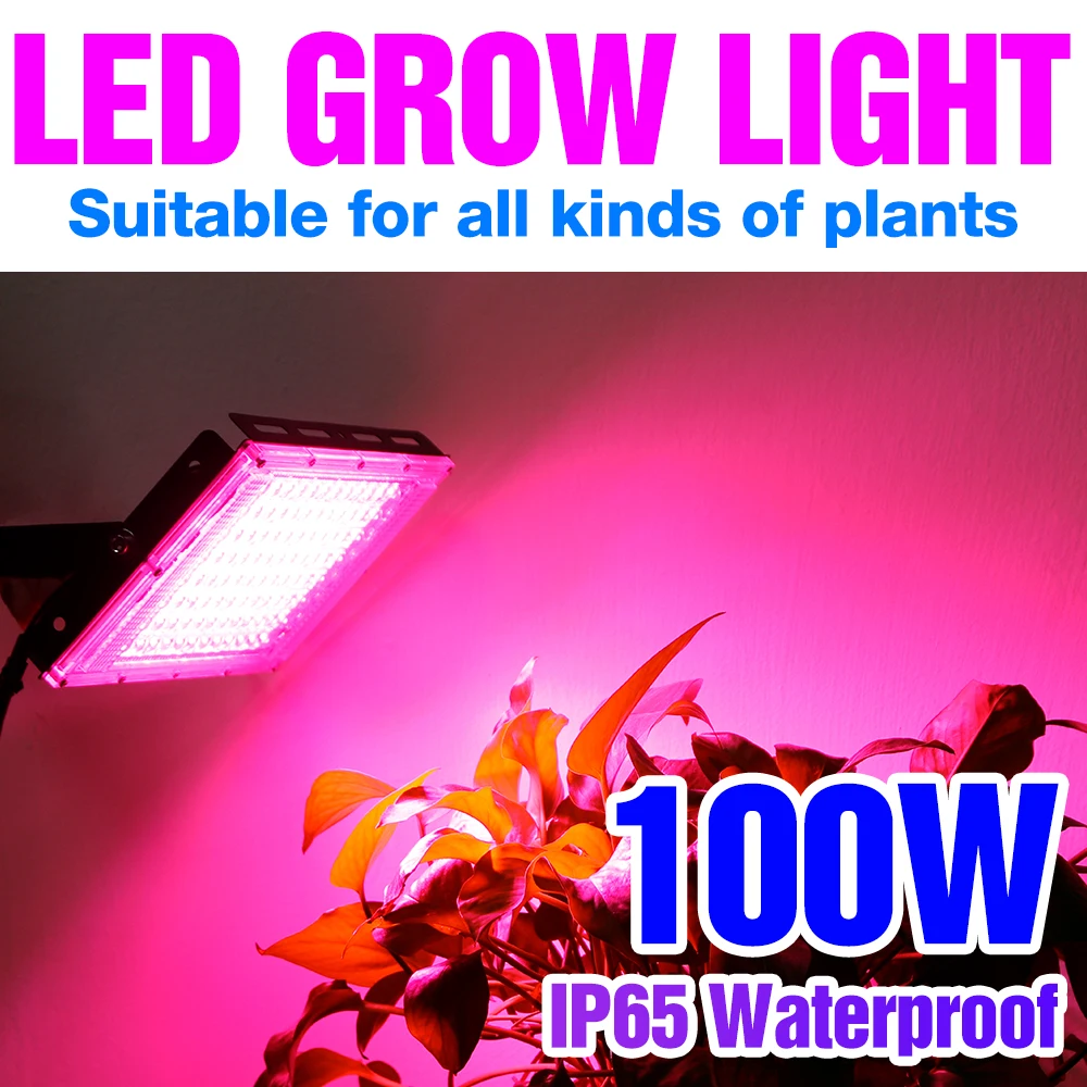 

LED Phytolamp Full Spectrum Grow Light Greenhouse Plants UV Lamp 50W 100W For Seedlings Flower Seeds Horticultural Growth Lamp