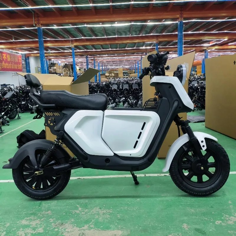 BR Luyuan OEM Factory High Speed Electric Motorcycles Scooter 60v 16inch Long Range Electric City Bike 1000W 1500W 3