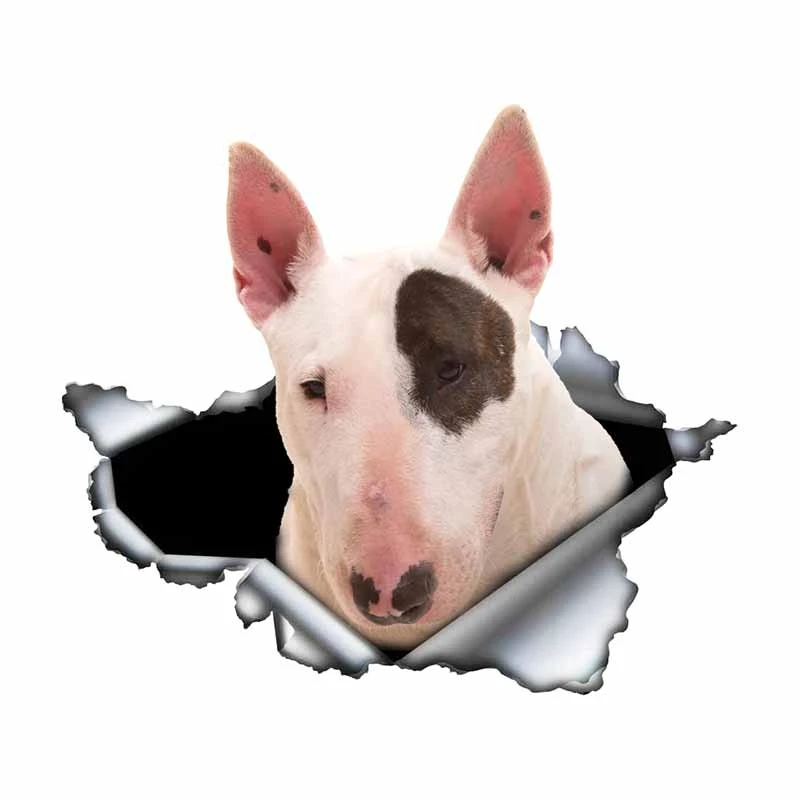 

3D Bull Terrier Car Sticker Decal Made of Durable Vinyl Waterproof Material, Car/truck Ship/Surf Camper /laptop and Toolbox