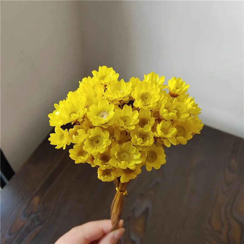 Mini ramo de flores de margaritas pequeñas, flores secas decorativas,  plantas naturales, preserva Floral para la decoración del hogar de la boda  - AliExpress