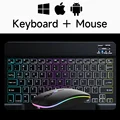 Black and mouse