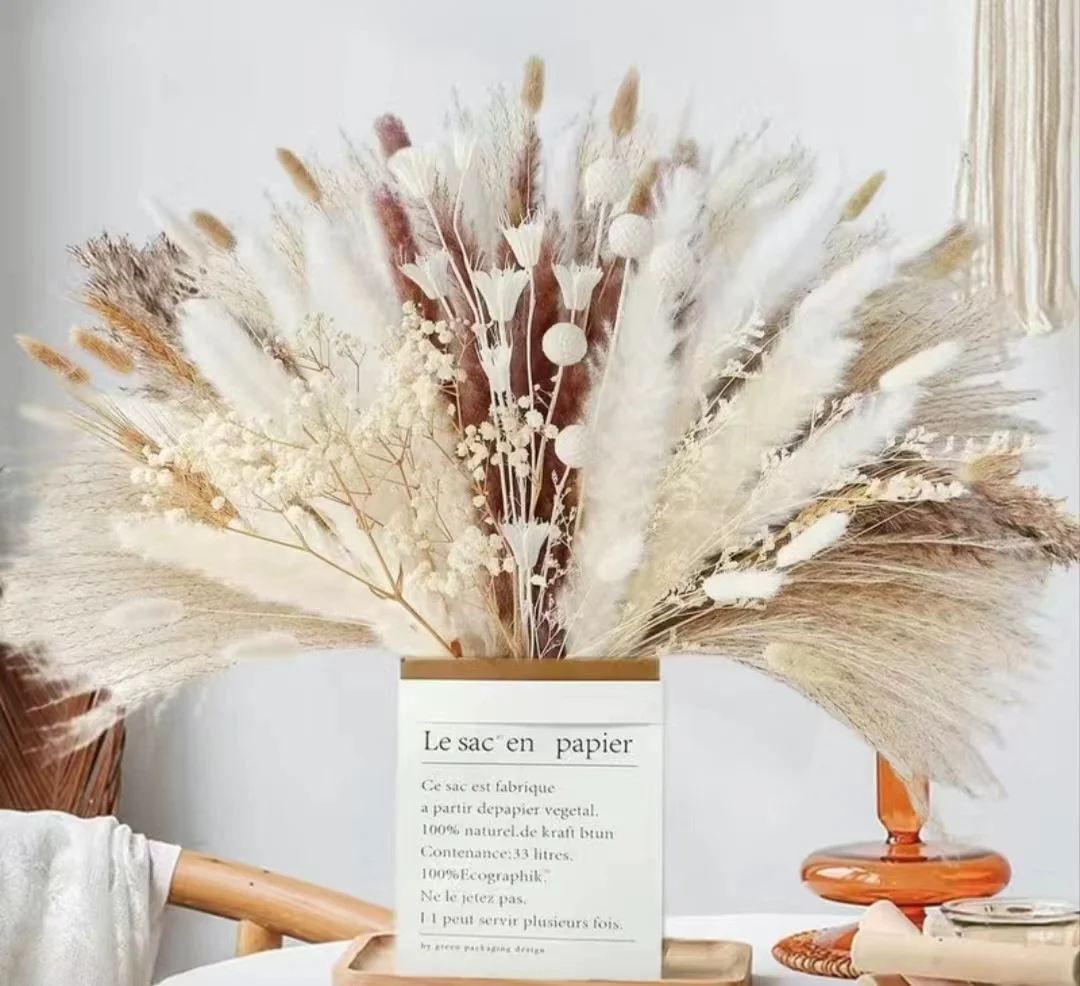 

109 pieces of reeds small reeds dried flowers rabbit tail grass small dust brush combination flower bouquet dried flower arrange