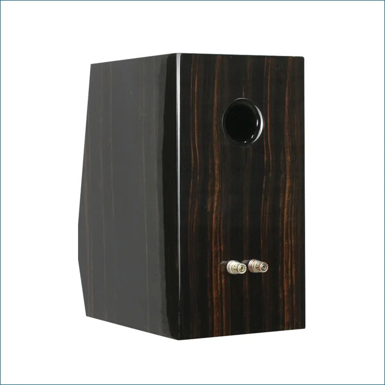 HC-100 SCAN-SPEAK 6.5 inch 66200+SEAS E0042 6.5 inch ebony piano lacquer bookshelf speaker 8Ohm