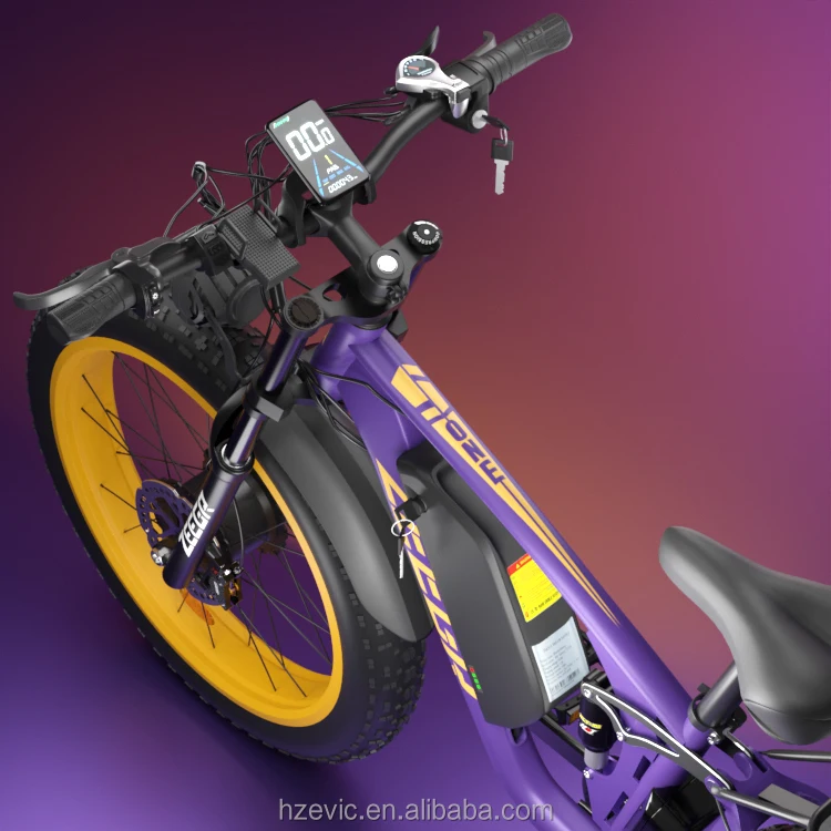 Road Oem Odm Electric Bicycle Long Range for Adult 48V 2000W 1000W 22.4Ah Dual Suspension Fat Tire E Bike Mountain Electric Bike 3