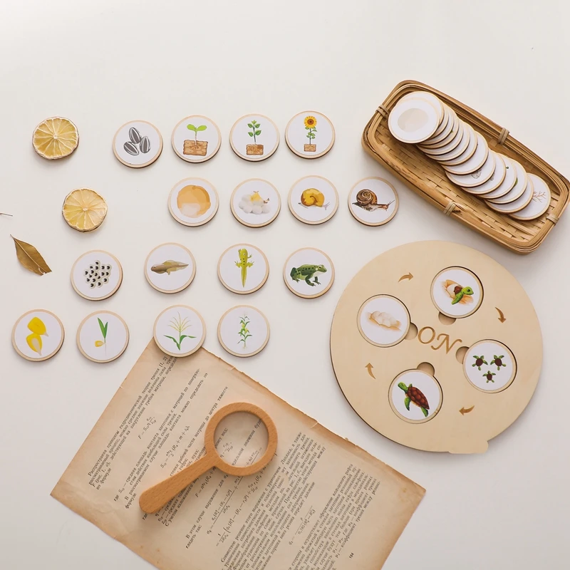 Rompecabezas Montessori de ciclo de vida para bebé, bloque de tablero de madera, juguete educativo, juego de entrenamiento, producto