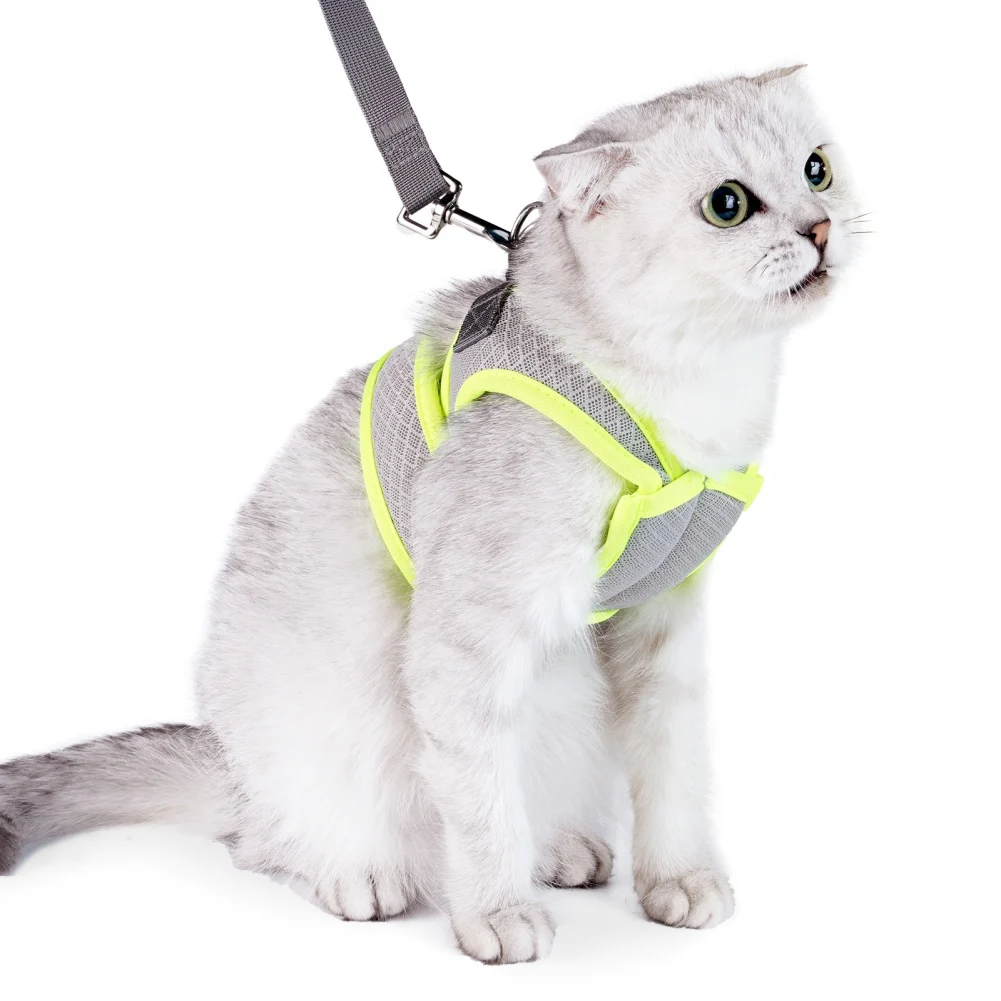 Cat Harness and Leash Set Escape Proof 1