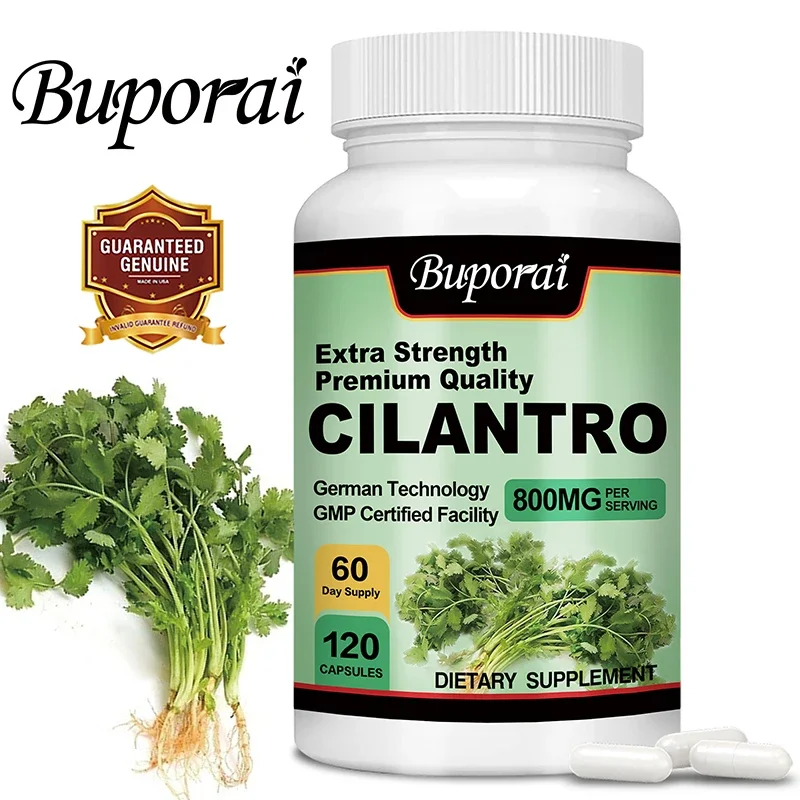 Cilantro Supplement Rich Source of Antioxidants Natural Cleansing Detox