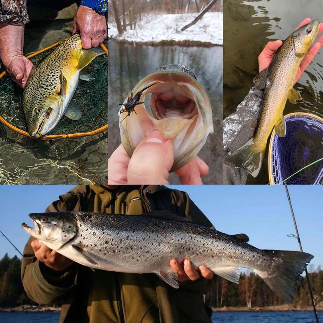 24 teile/schachtel Trocken fliegen Nymphe/Schmetterling Set Fliegen fischen für Forellen Äsche Panfish Karpfen künstliche Insekten Köder – Detail 12