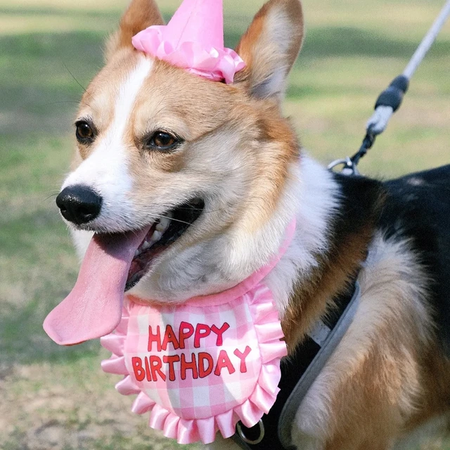 Cat Birthday Scarf Hat Set Dog Birthday Party Supplies Pet Scarf Cute Puppy Birthday Hat Scarf Decor For Small Medium Pets 4