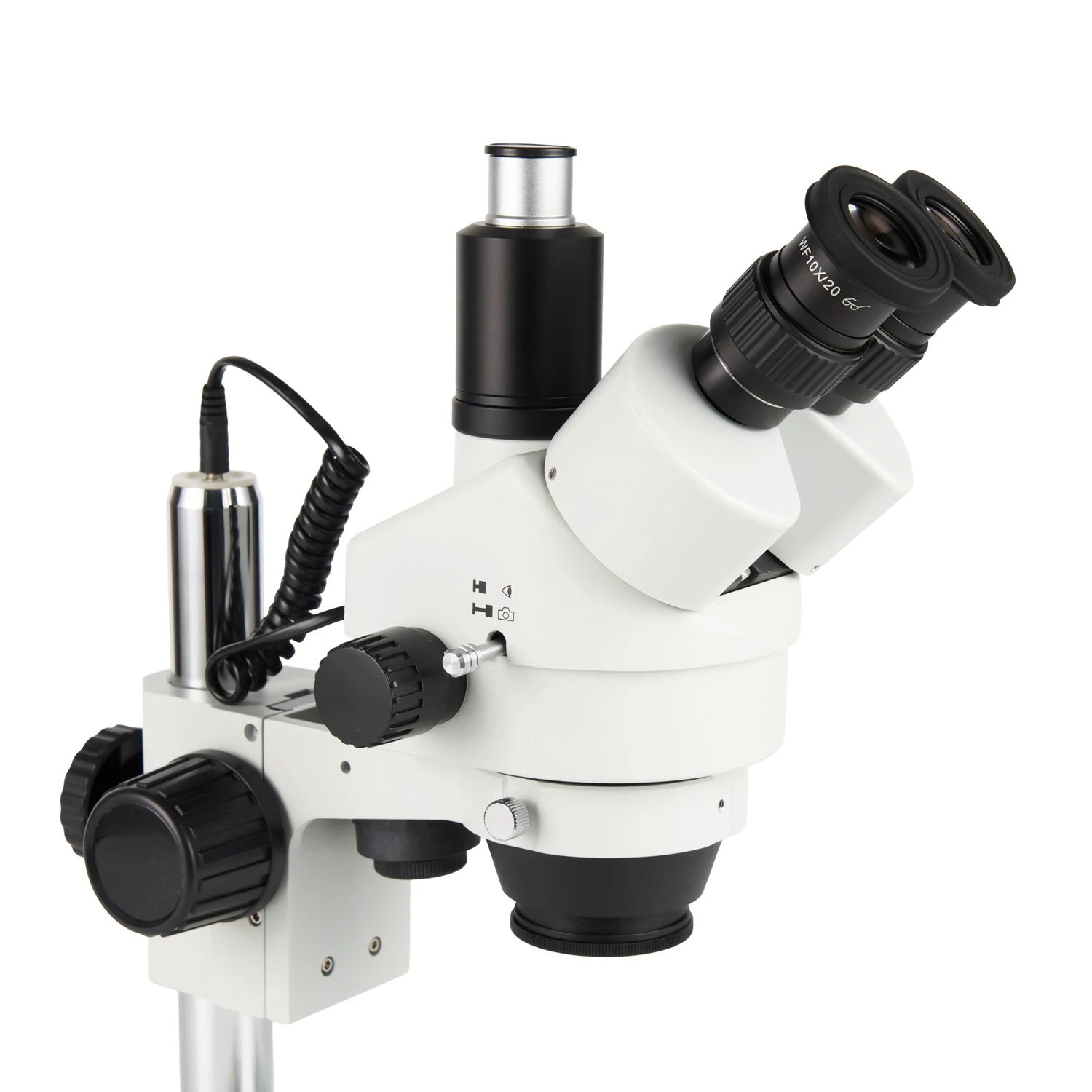 AmScope SM-2 시리즈 삼안 실체 현미경(기둥형 스탠드, 이중 할로겐 조명 포함)