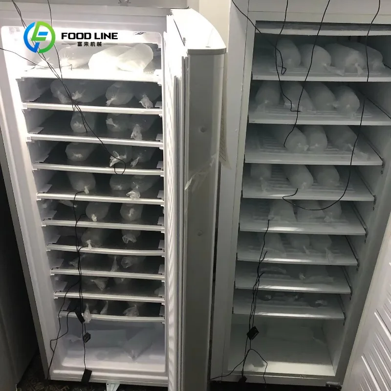Macchina per il Ghiaccio Solare Personalizzata ad Alta Efficienza DC 12V 24V, Produttore di Ghiaccio a Proiettile Portatile Off-Grid Alimentato a Energia Solare - immagine 4