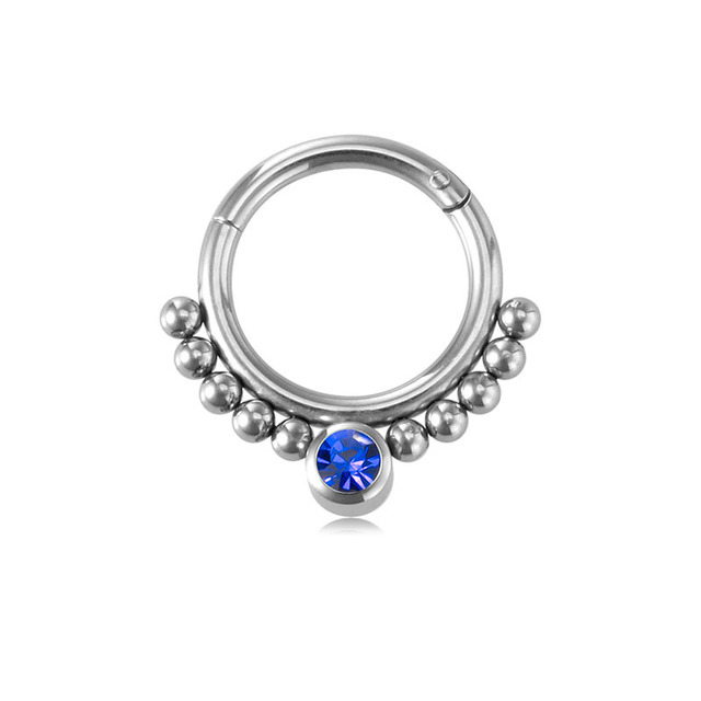 Nose Ring Hoop Septum Piercing Hinged Segment Clicker Surgical Steel Ear Cartilage Earrings Tragus Helix Daith Body Jewelry