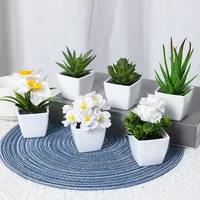6PCS, artificial plants small bonsai, DIY crafts desktop windowsill display rack display decoration 1