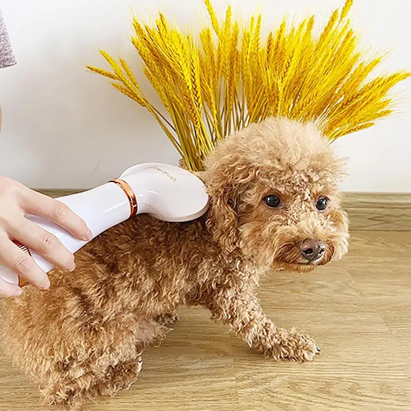 

Blow Dryer Brush Dog 2 In 1 Quiet Slicker Cat Hair Blower with 2 Heat Gear Portable Detangler Brush Pet Grooming Supplies
