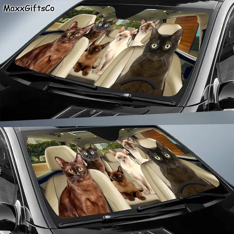 Рисунок 2 - Кошачий Автомобильный солнцезащитный котенок