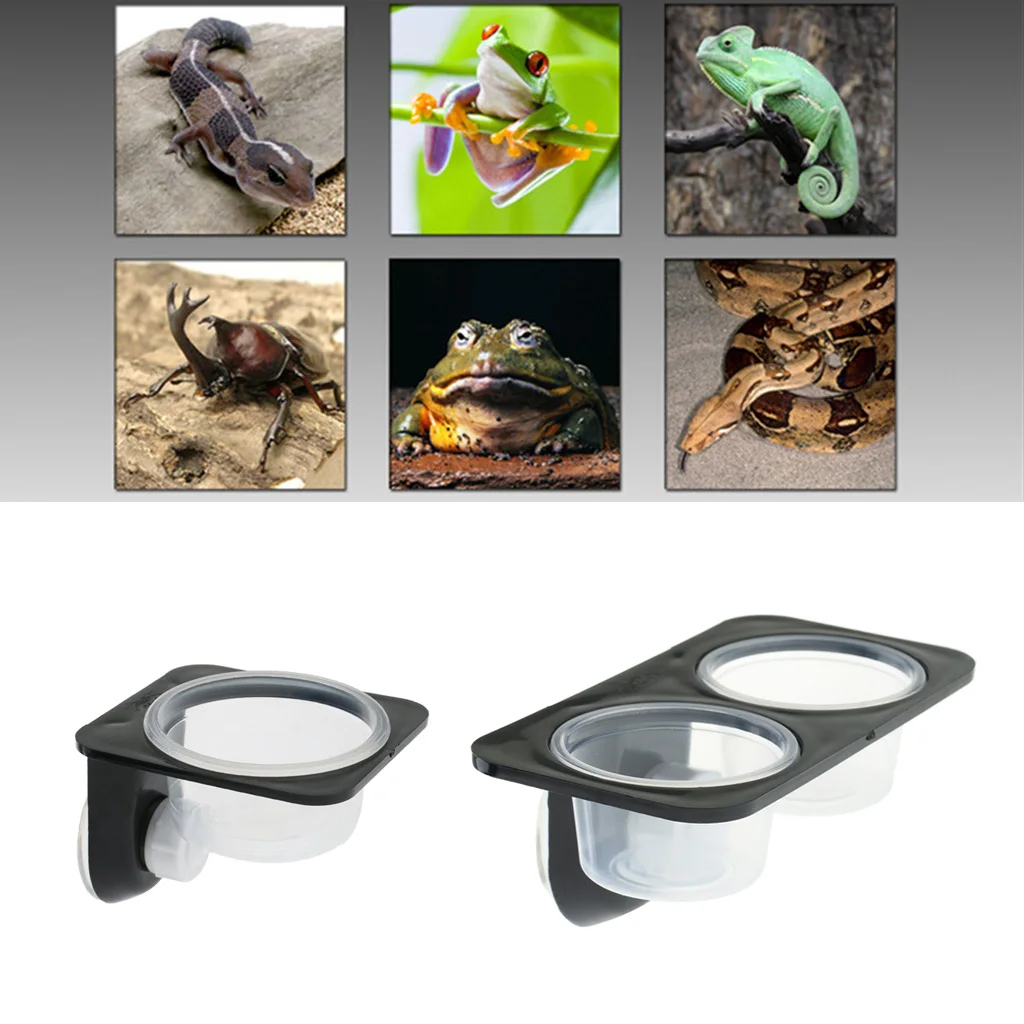 Reptiles & Amphibians Lizard Gecko Suction Cup Feed Bowls Food Container with Bowl for Reptile Food and Water Feeding