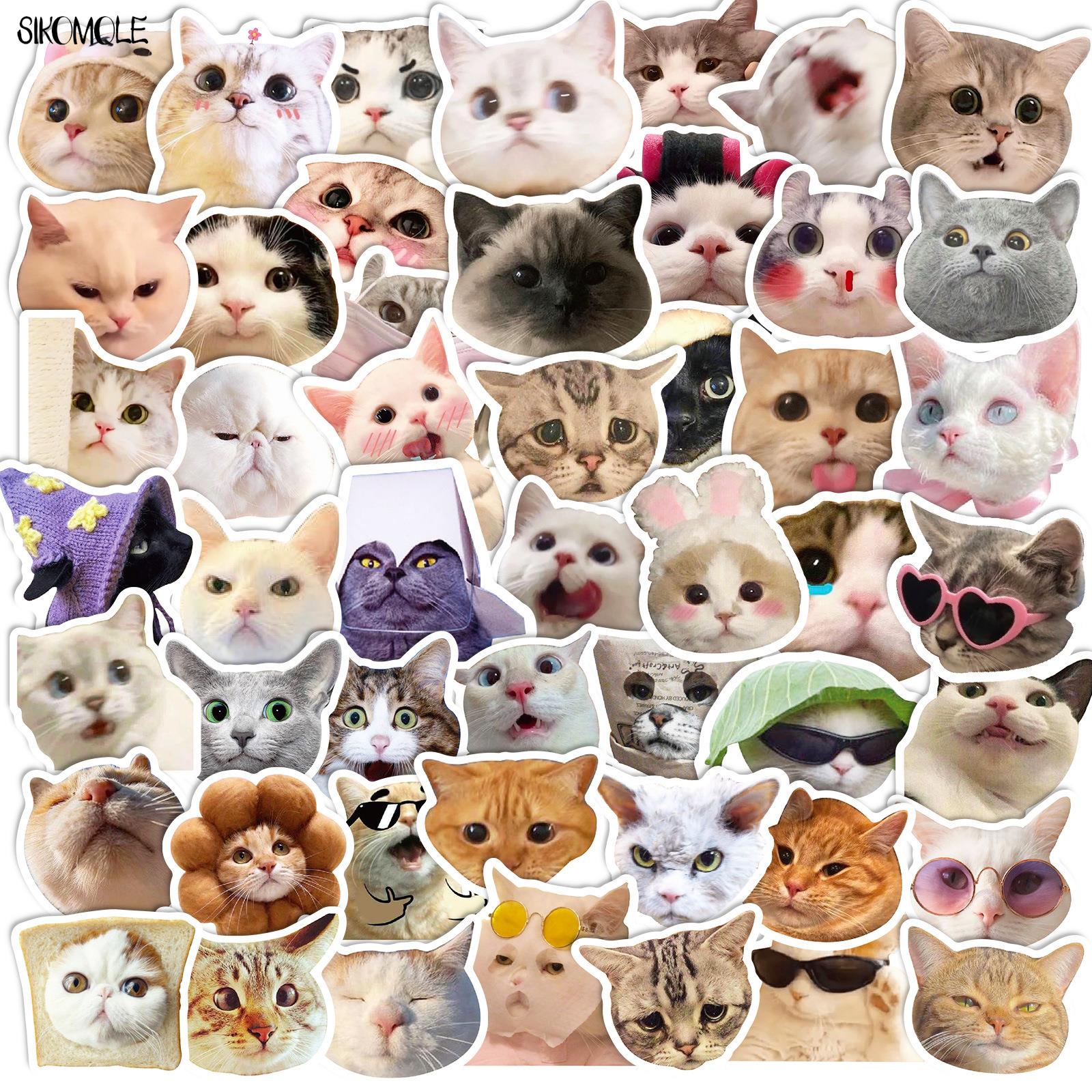 10/30/50PCS Mix Cartoon Cat Expression Big Head Photo Stickers Animal For Children DIY Toy Travel Laptop Graffiti Sticker Decals