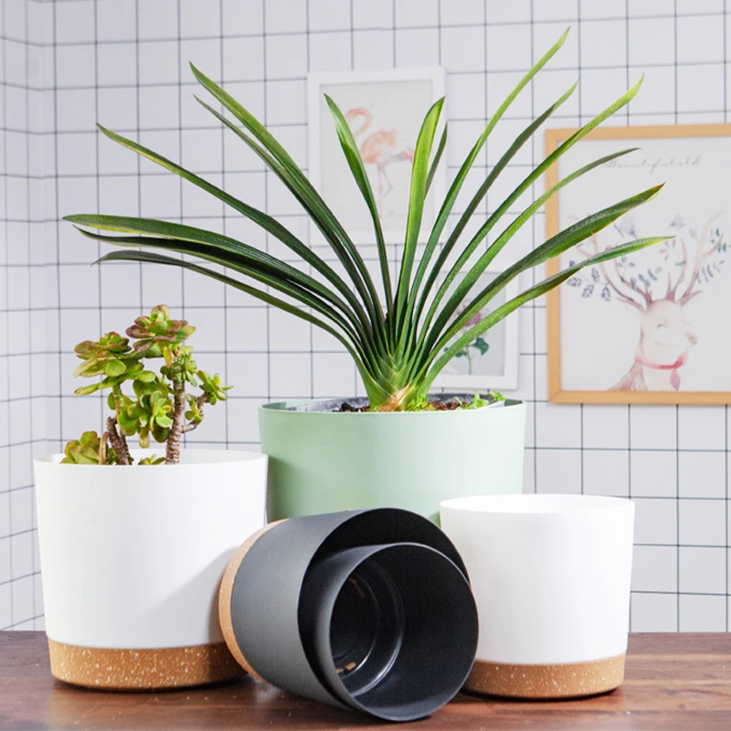 fertilizer for lucky bamboo plants Casa De Amor- Aqua Bloom main image 0