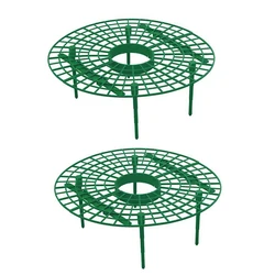 Strawberry Plant Support Rack for Garden Fruit Protection and Vertical Growth (2PCS)