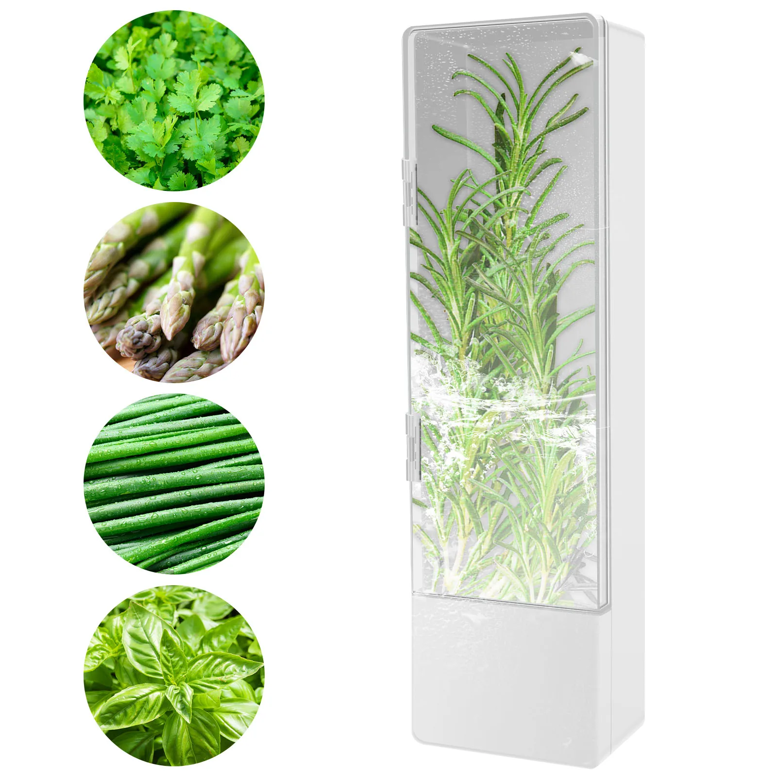 Herb Saver Keeper Box Fresh Container Veggie Storage Fresh Keeper Fridge Vege Preserve Bottle for Cilantro Mint Parsley Asparagu