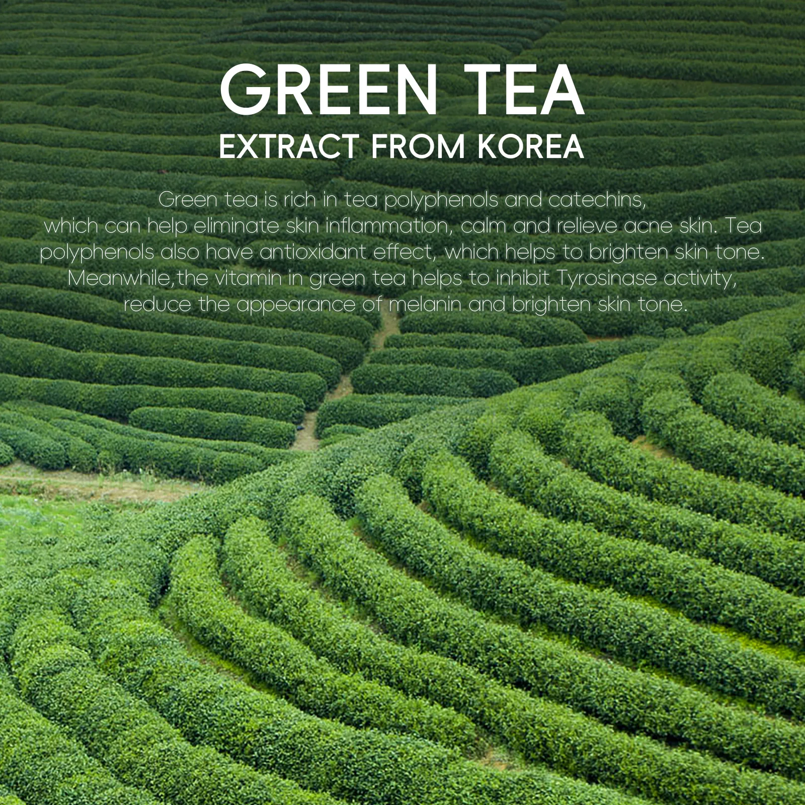 Green Tea Facial Cleanser 50g Skin Deep Cleansing Moisturizing Blackhead Removal Skincare Face Wash Foam Face Cleanser Skin Care 2