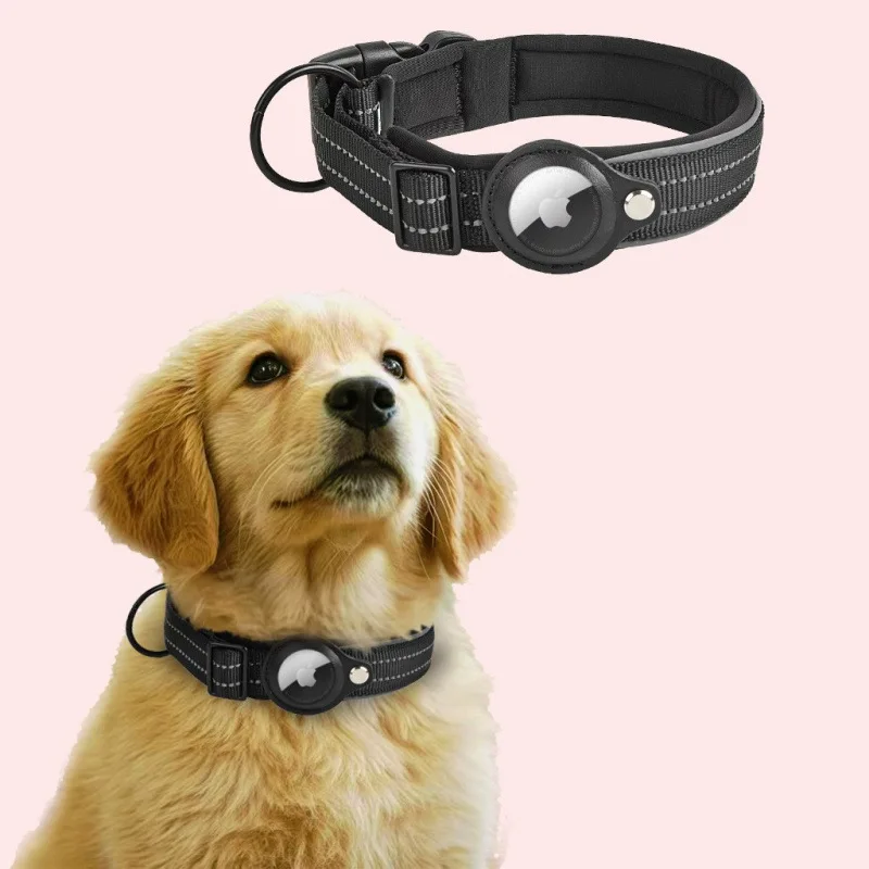 Black For Dogs
