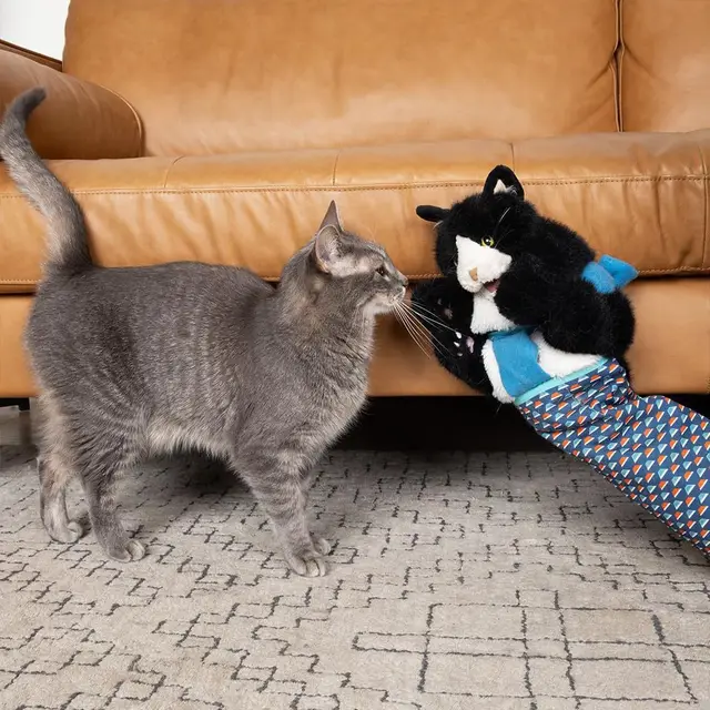 Cat Pet Toy Gloves Interactive Cat Wrestling Gloves Cat Wrestling Toys Puppet Pet Dolls Supplies