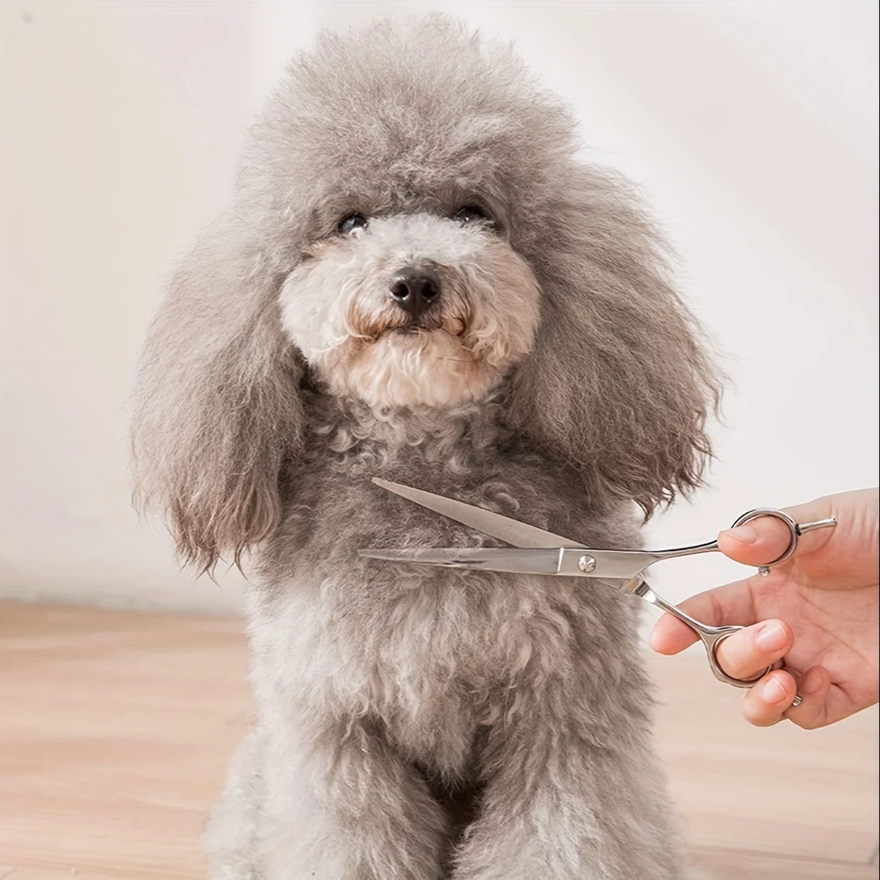 7.5-inch Professional Pet Grooming Scissors Set, Dog Scissors Straight Curved scissors Shark Scissors Kit (silver)