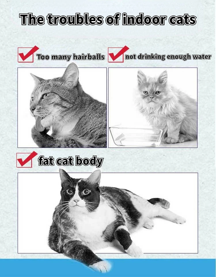 Nutrition Cat Catnip Ball Dust Cover Round Safe Catnip Snack Lick Candy Vitamin Pudding Catnip Lollipop For Cat Kitten Ragdoll