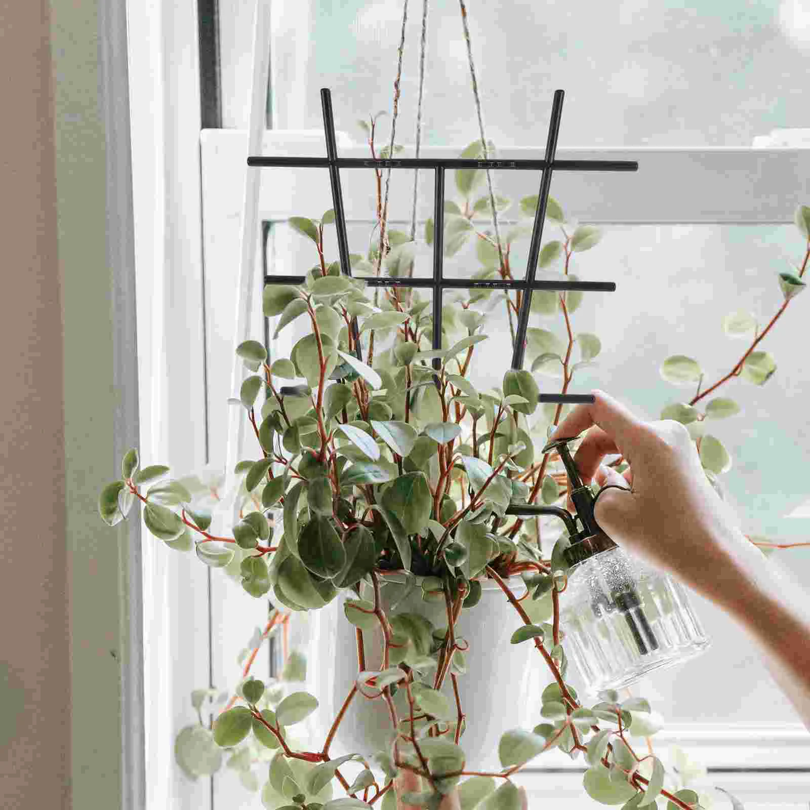 

4Pcs Plant Trellis Vine Plastic Support Outdoor Plants Climbing Holder Rack for Yard